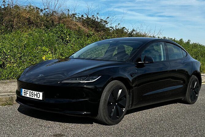 Transfer Fátima To Lisboa - How the Service Runs: Booking and Meeting Points