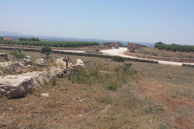 Transfer from and to Catania Airport Taormina Giardini Naxos Letojanni Mazzarò. - The Experience and Driver Quality