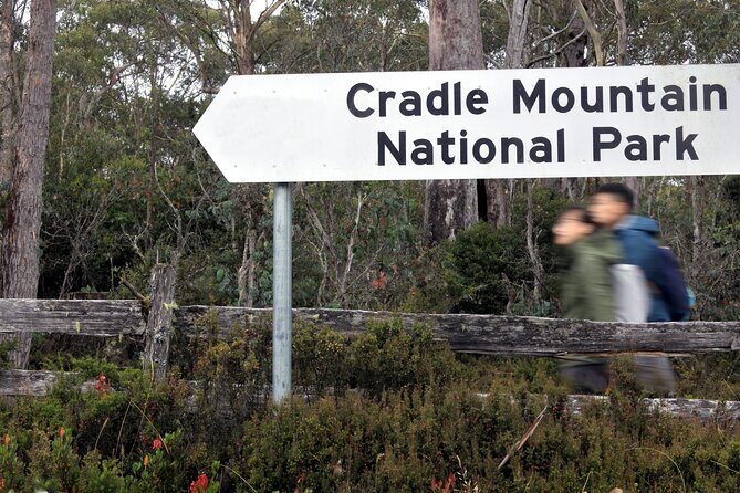 Transfer from Launceston to Cradle Mountain - Who Is This Transfer Best For?