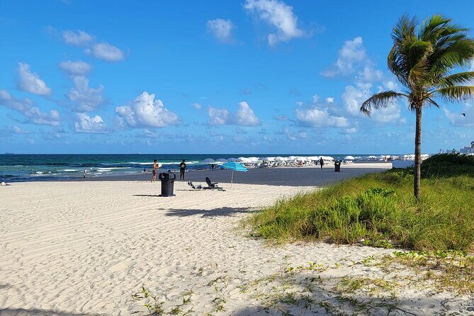 Transfer from Miami Airport to Hotel or Port Miami. Up to 11 pax. - The Sum Up