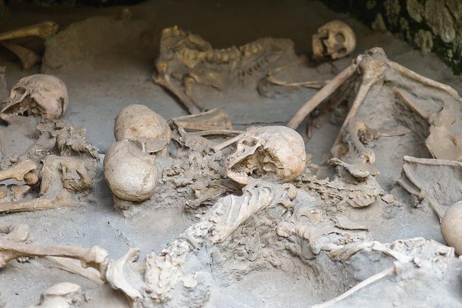 Transfer from Naples to Sorrento with 2 hours Private Tour in Herculaneum - A Deep Dive into the Experience