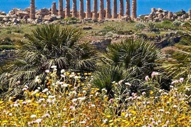 Transfer from Palermo Airport to Verdura Golf Resort Sciacca - Final Thoughts