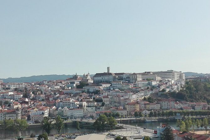 Transfer from Porto to Coimbra visiting Aveiro, half day - What Travelers Say: Authentic Feedback
