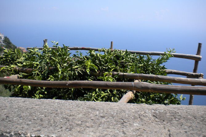 Transfer from Rome to Sorrento - FAQs