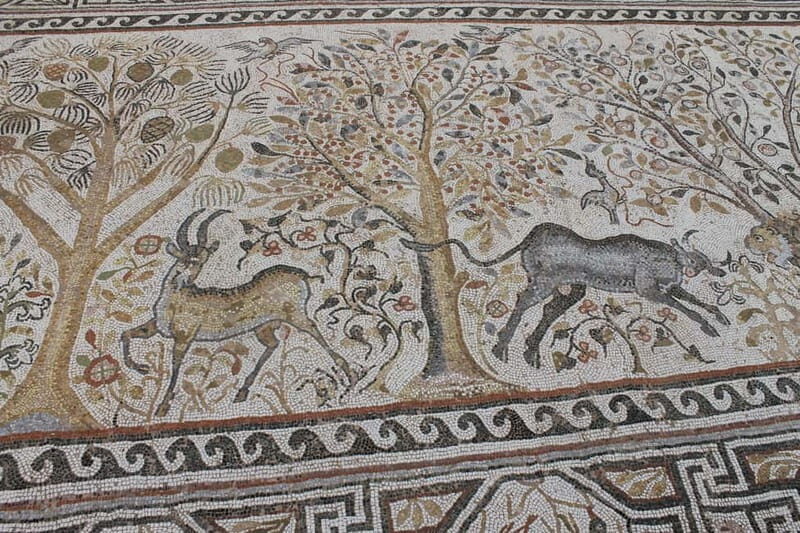 Transfer from Skopje to Ohrid With Stop at Bitola - Final Thoughts: Is This Tour for You?