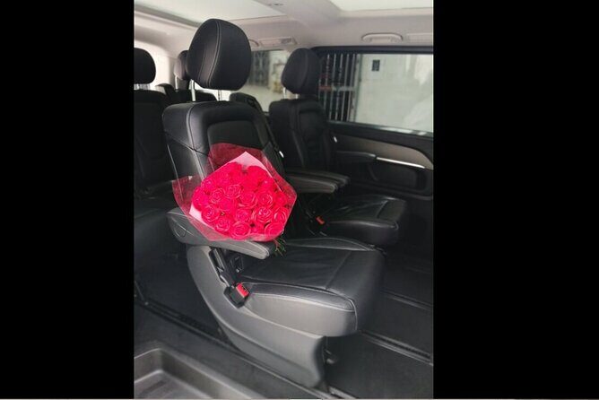 Transfer in Luxury Mercedes Benz Minivan - Pricing and Value