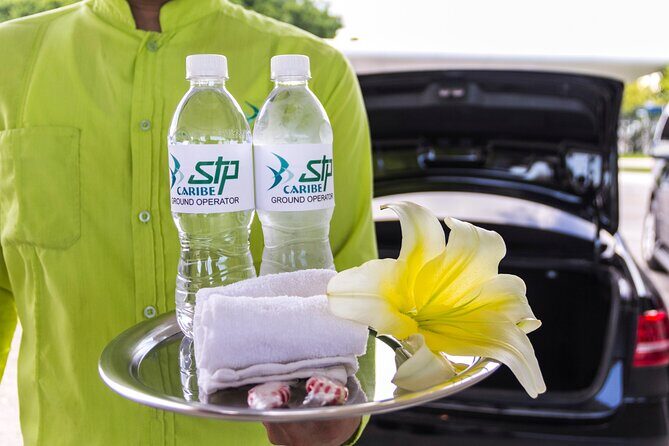 Transfer in Luxury Mercedes Benz Minivan - Who Is This Transfer Best For?