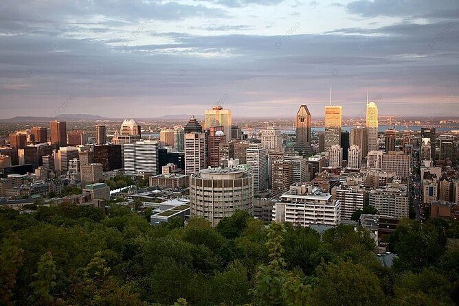 Transfer: Montreal City Center to Pierre E.T. Airport-YUL - Who Is It Best For?