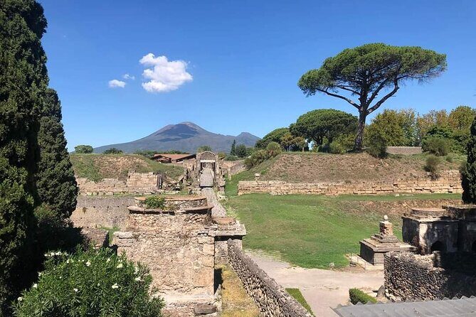 Transfer Naples airport/station to Sorrento with stop in Pompeii - Detailed Review of the Transfer and Pompeii Visit