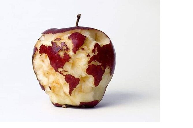 Transfers from Civitavecchia to Fiumicino/Rome - The Details of the Transfer Experience