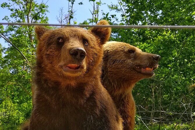 Transfgran Highway & Sibiu - Premium Private Tour from Braov - FAQ