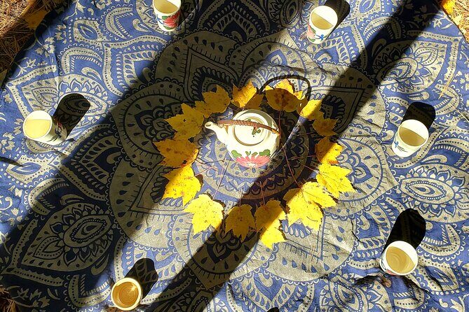 Transformative Forest Escape: A Mindful Journey for Inner Calm - Pricing and Value