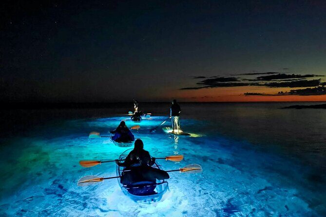 Transparent Kayak Night Glow Experience from Pula - Pricing and Value
