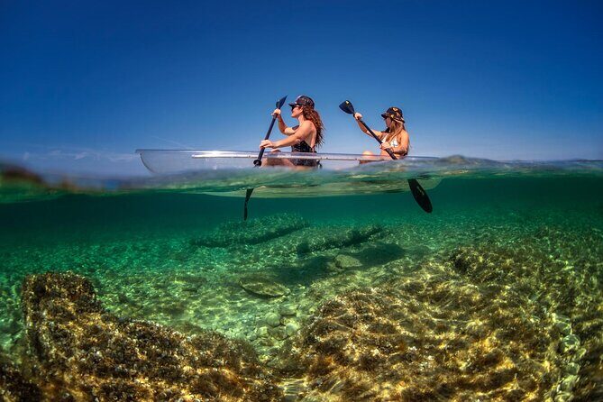Transparent Kayak Rental - Explore the Underwater World - The Surroundings and Highlights