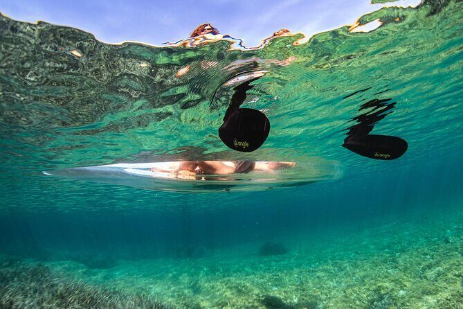 Transparent Kayak Rental - Explore the Underwater World - Who Will Love This Tour