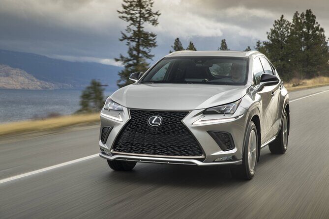 Transport, taxis and shuttles - Who Is This Service Best For?