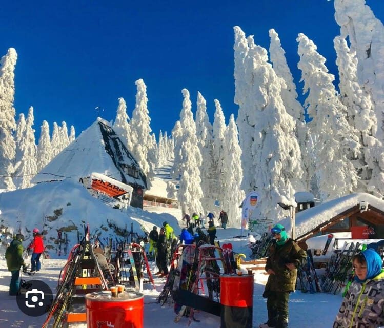 Transylvania: Christmas Markets Private Tour: Brasov & Sibiu - The Itinerary Breakdown: What to Expect and Why It Matters