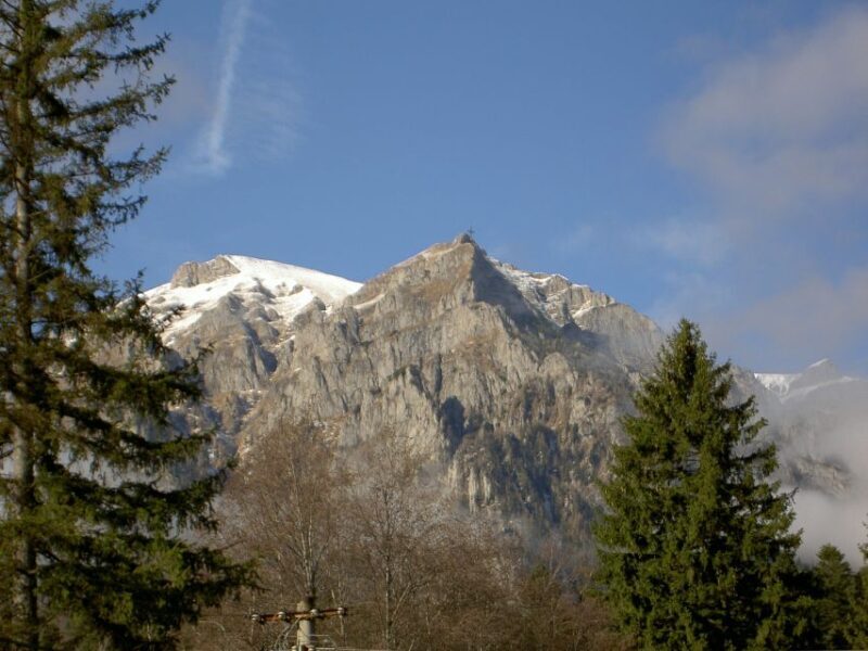 Transylvania: Cultural Full-Day Trip by Minivan - Key Points