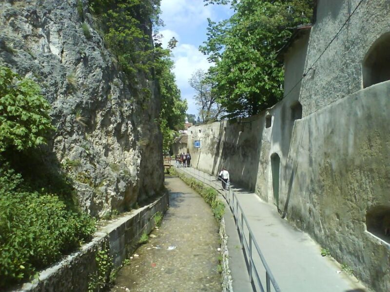 Transylvania: Cultural Full-Day Trip by Minivan - Final Thoughts: Who Is This Tour Best For?