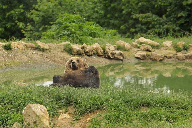 Transylvania with Dracula Castle, Bear Sanctuary and Brasov - Final Thoughts