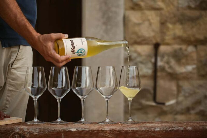 Trapani: Organic Wine Tasting with the Producer - An Authentic Taste of Sicily’s Organic Wines