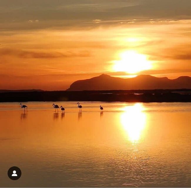 Trapani: Salt Pans Sunset Tour and Flamingo Way - Exploring the Trapani Salt Pans Sunset Tour and Flamingo Way: A Detailed Look