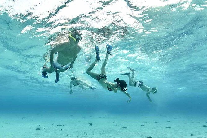 Travel ABOARD A JEEP and visit the most iconic places of Cozumel! - Who Will Love This Tour?