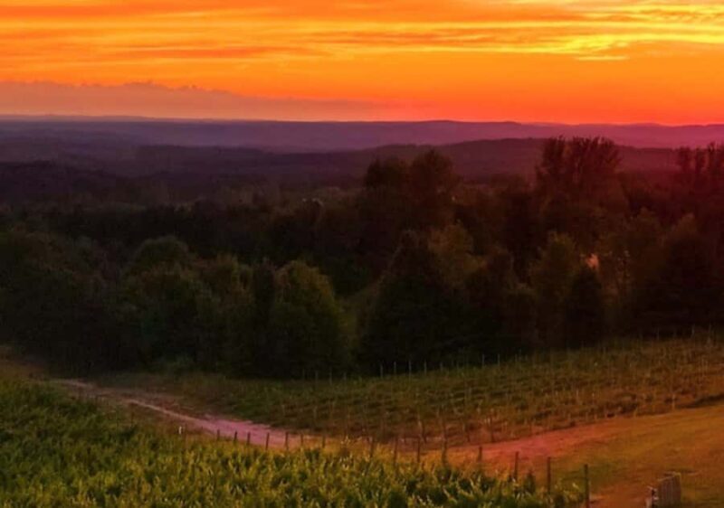 Traverse City: Old Mission Peninsula 4-Hour Sunset Wine Tour - Key Points