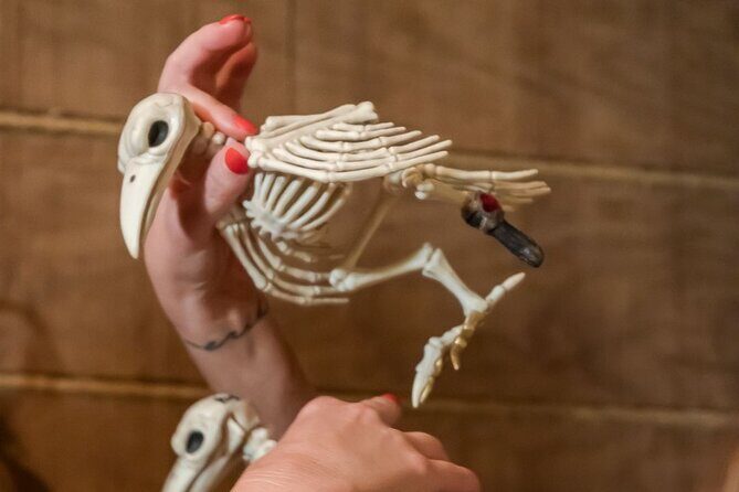 Treasure Island Escape Room Experience in Avondale - What to Expect at the Treasure Island Escape Room