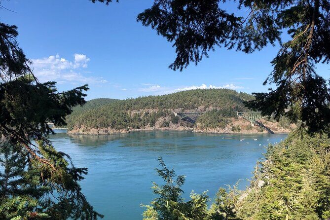 Tree Canopy Climbing on Lopez Island - What Do Travelers Say?
