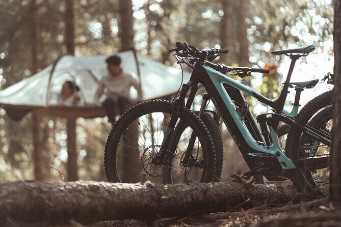 Tree Tents Experience - E-bike Tour - What Real Travelers Say