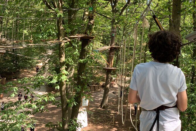 Tree Top Adventure in Forest of Meudon - What Does the Experience Include?