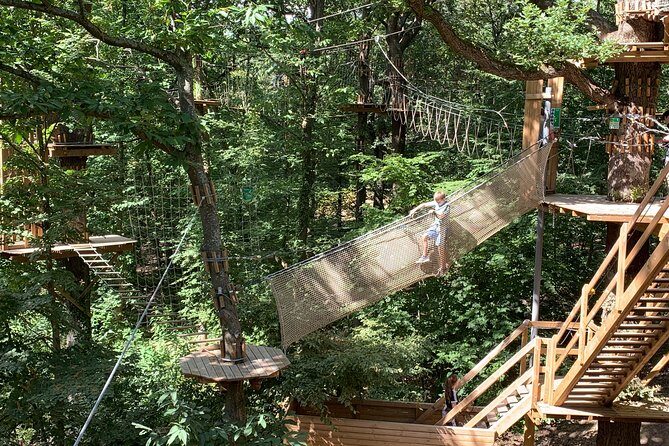 Tree Top Adventure in Forest of Meudon - Pricing and Value for Money