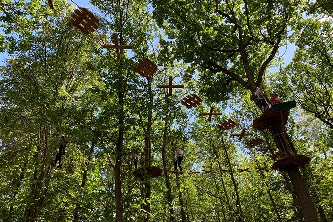 Tree Top Adventure in Forest of Meudon - Who Will Love This Experience?