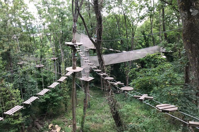 Tree Top Adventure in Rueil-Malmaison - Final Thoughts