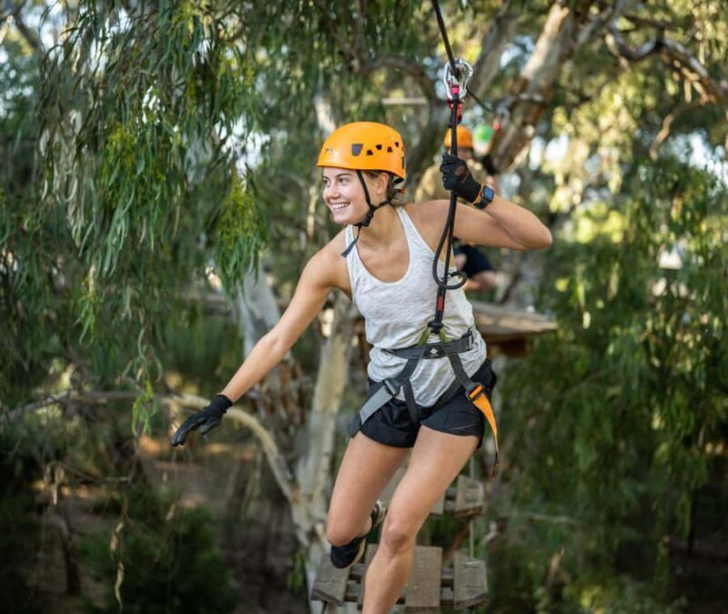 TreeClimb Adelaide: Thrilling Climb For Adventurers - Key Points