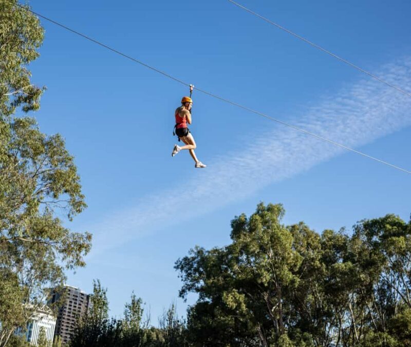 TreeClimb Adelaide: Thrilling Climb For Adventurers - FAQs