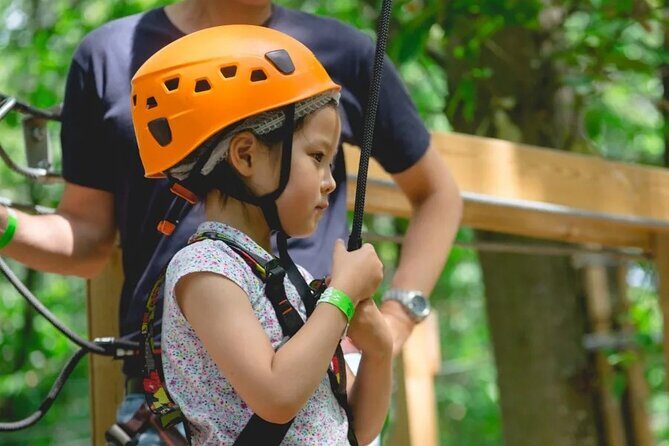 Treetop adventure course in Jablines - A Closer Look at the Treetop Adventure Course in Jablines