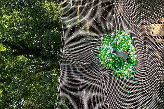 Treetop adventure course in the heart of Poissy - An Overview of the Treetop Adventure Experience