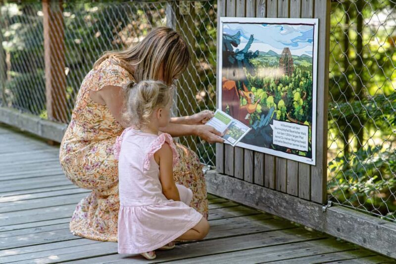 Treetop Walk Bavarian Forest: Discover the world of treetops - Key Points