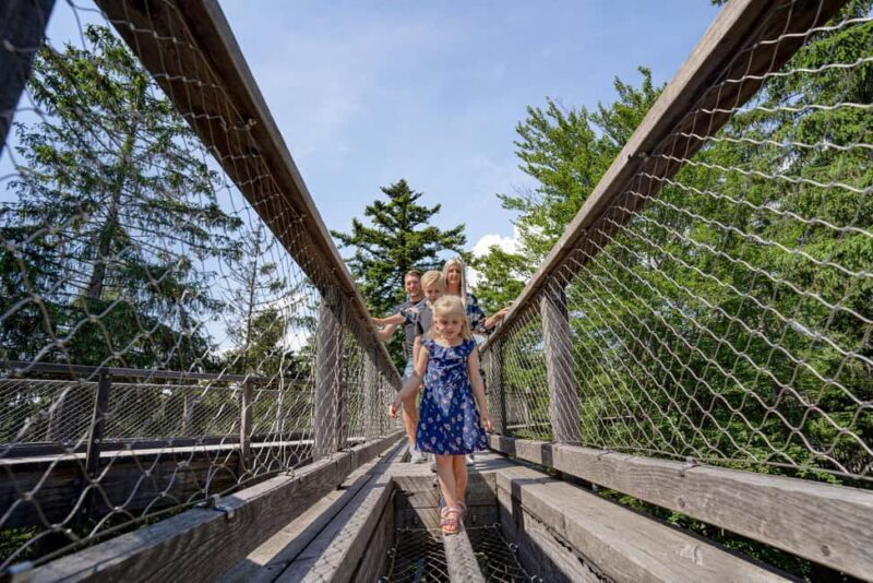 Treetop Walk Bavarian Forest: Discover the world of treetops - What to Expect from the Treetop Walk Bavarian Forest