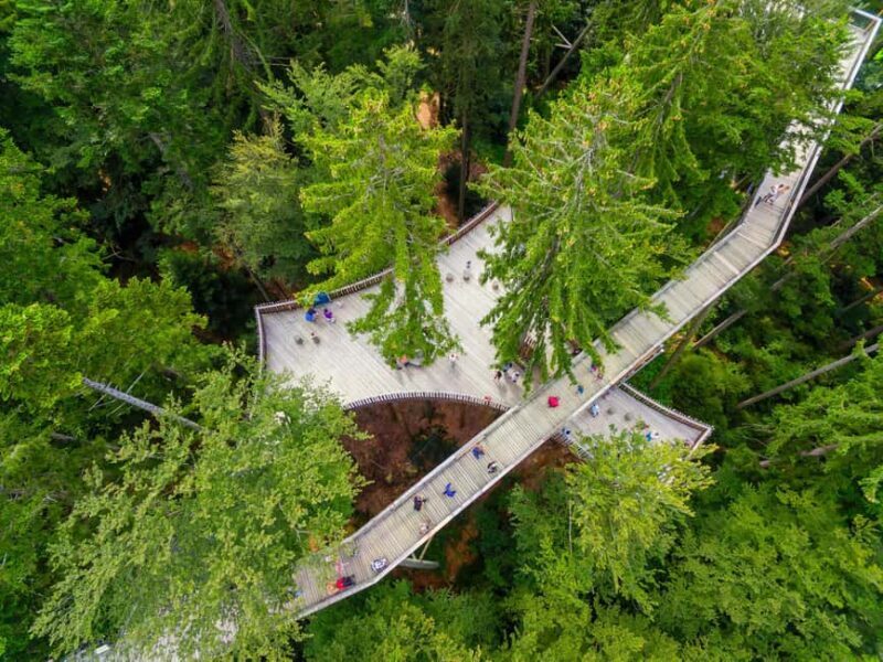 Treetop Walk Bavarian Forest: Discover the world of treetops - Who Will Love This Experience?