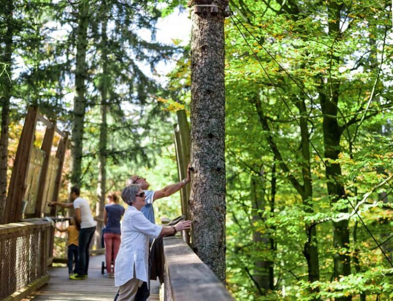 Treetop Walk Bavarian Forest: Discover the world of treetops - Frequently Asked Questions