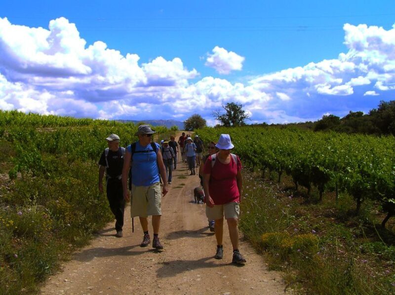 Trek & Wine in Priorat - Key Points