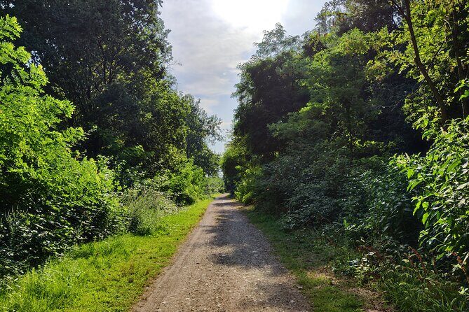 Trekking in the Wood with picnic on the turtles lake - Key Points