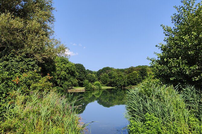 Trekking in the Wood with picnic on the turtles lake - Final Thoughts