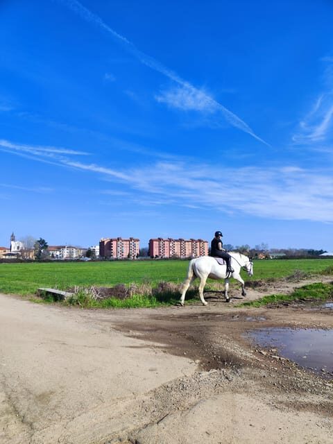 Trekking in the Wood with picnic on the turtles lake - The Picnic at Turtles Lake