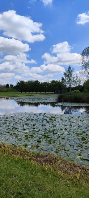 Trekking in the Wood with picnic on the turtles lake - Practical Details and Tips