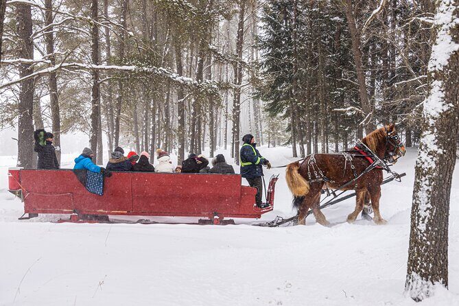 Tremblant Sleighride - Who Should Consider This Tour?