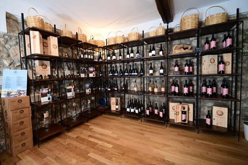 Trentinara Wine Tasting and Walking Tour - What to Expect From the Tour